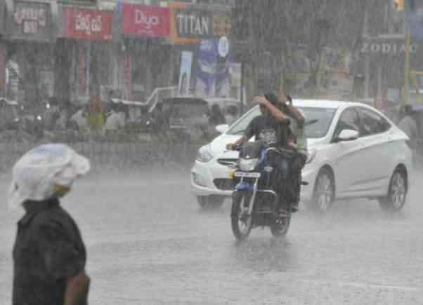 Assam Rain one