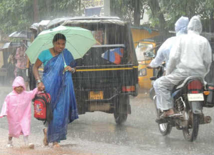 Rain in Gujarat3