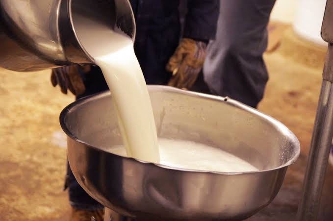 दूध (milk) के फ़ायदे, नुक़सान व उपयोग का तरीक़ा