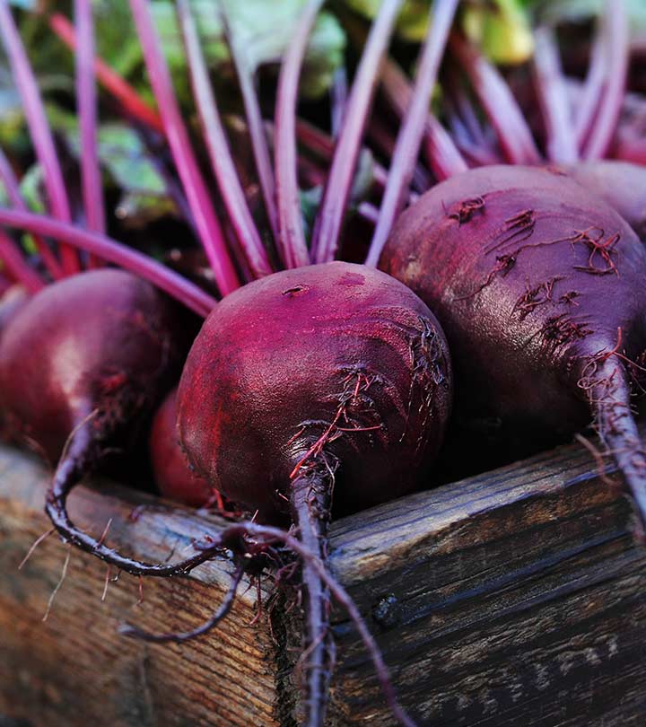 Beetroot Benefits Uses and Side Effects in Hindi