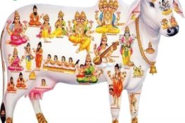 Significance of Cow in Hindu Religion