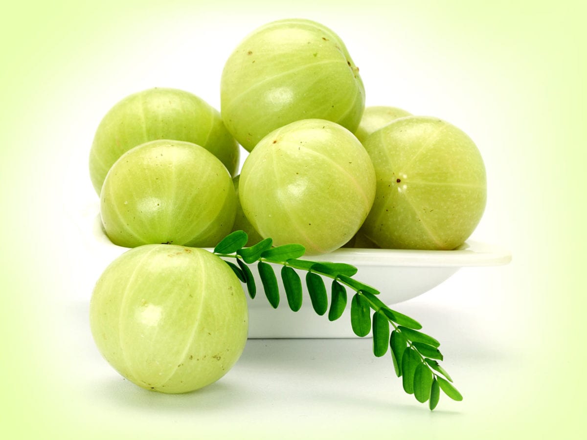 amazing amla indian gooseberry 1200x900 1