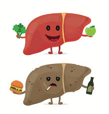 फैटी लिवर से बचाव - Prevention of Fatty Liver in Hindi 