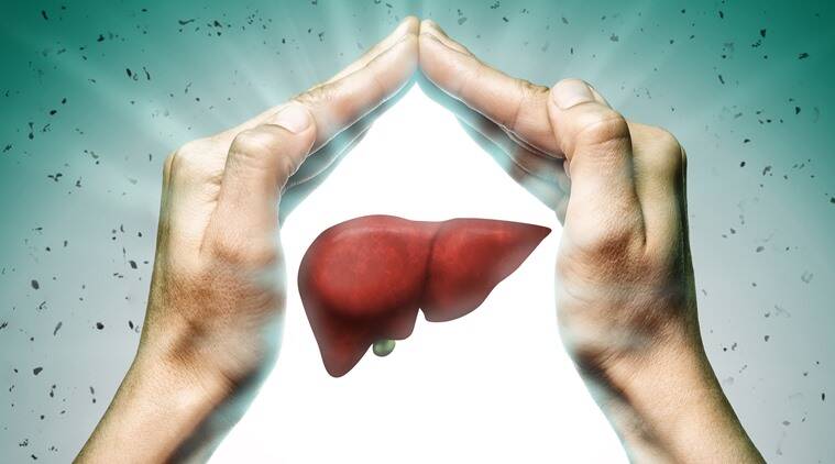 लिवर को स्वस्थ कैसे रखें Liver Ko Swasth Kaise Rakhe